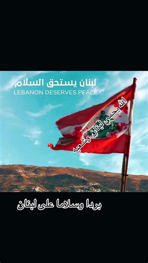 #creatorsearchinsights