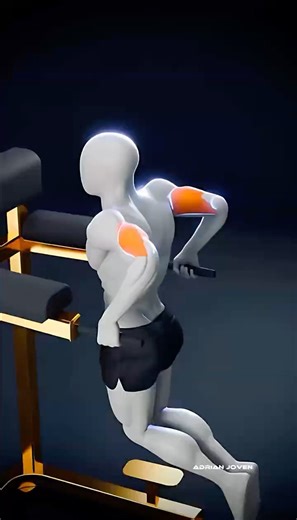 Triceps vs lower chest dips🔥#fitness #animation #workout #viral #triceps #chest #shorts #trending