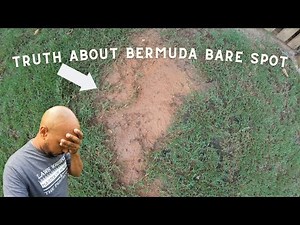 The truth about bare spots on bermuda lawns and why you have it.