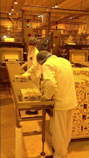 UHT Long Life Milk in Aseptic Packaging | Ultra High Temperature Dairy #machine #foodindustry