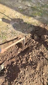 1M views · 27K reactions | Just moved into the new house, but there's still a lot left to do. Gonna turn over the soil near the door today—planning to plant some vegetables there soon.殺 | Rose鄉村 | Facebook