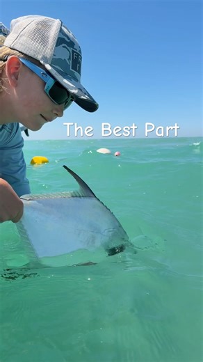 Release of a Beautiful Permit