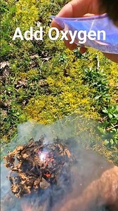 Sun Fire Unlocked ! ! 😱 How To Make Magnification Fire With Fresnel Lens #bushcraft #survival