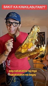 9.7K views · 337 reactions | The medical term for Kilabot is Horripilation or goose bumps in layman's terms. Kilabot is vestigial behavior of Humans who are also mammalian. Mammals puff up their fur to protect themselves from cold and to intimidate predators. #longervideos #dapatalammo #kuyakimamona #fyp | Kuya Kim Atienza | Facebook