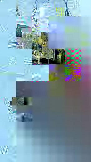 Fastest speed on inline skates (rollerblades) backwards - downhill 🛼 81.08 km/h (50.38 mph) by Gabe Holm 🇺🇸 | Guinness World Records