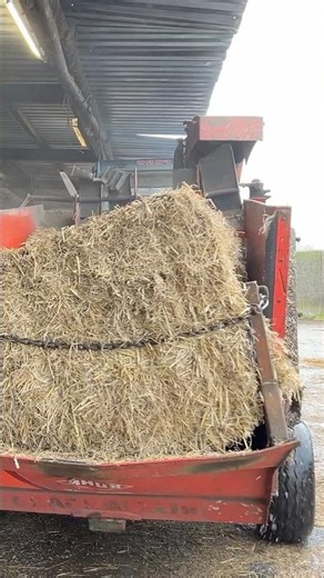 🌾 Pretty Girl and Powerful Machines 🚜 Spreading Barn Straw | Farm Machinery 2026