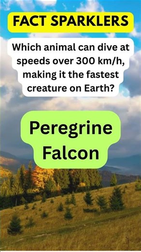 Think you know the fastest animal? 👀 | Amazing Fact #shorts