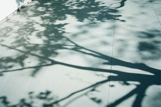 映画『さがす』のあらすじネタバレまとめ！みんなの感想評価もまとめてみた