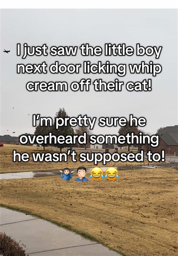 The neighbor boy heard about a whip cream dream! | cat