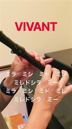 【VIVANT／千住明】ソプラノリコーダーで吹いてみた #shorts
