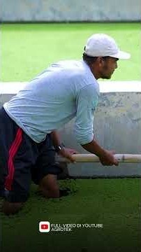 Azolla Grows 30% Daily! The Secret to Super Cheap Livestock Feed