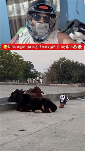 Dogs were surprised to see the remote control ghost car🐶👻 Mr Jabalpuriya 23