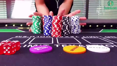 Poker Chip Set - 200PCS Poker Chips with Aluminum Case, 11.5 Gram Chips for Texas Holdem Blackjack