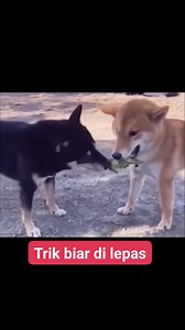 Kajon Setiapano on Reels