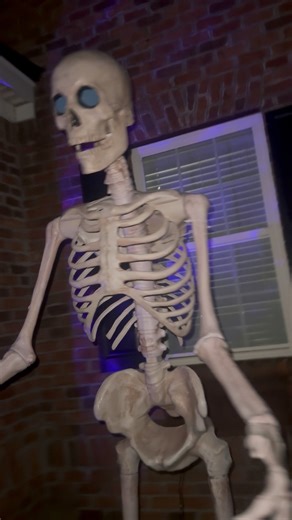 2.4K views · 26 reactions | "Why is your 20-foot-tall blow-up in the neighbor's yard?" A tale of two besties whom even wind and rain can't keep apart…… Damn near a new country song in the making. HA! | Jeanie Paige Mcwhorter | Facebook