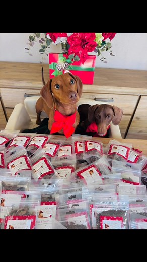 A huge Thank you to Lekker Barkery for donating some of our favorite treats and meal topper to our Christmas box. Trick and treat trainers and lamb liver sprinkles will have your pup super excited on Christmas morning | Cape Dachshund Rescue