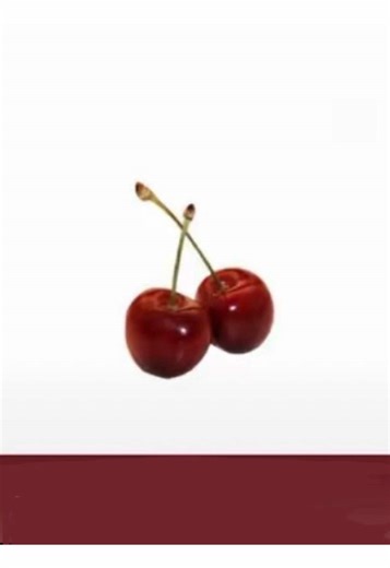 Creating Effective Layouts for Rants