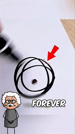 Why Ants Get Trapped 😱