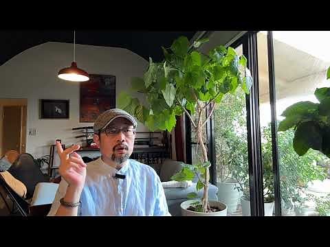 美国顶尖智库出了一本玄幻小说：中共崩溃后美国的应对与介入方式，差点儿让我以为他们是起点看多了｜哈德逊研究所｜余茂春｜后中共时代｜美国特种部队