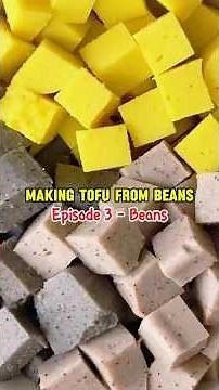 How to make tofu without soy - Making tofu from beans - Easier and quicker than tofu from soy