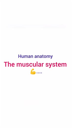The human muscular system short notes💪✨ #nursing #medical #like #followme #comments #subscribe