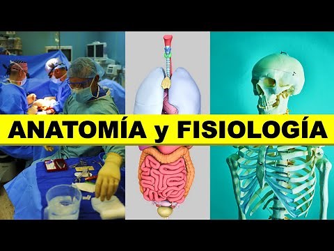 👉 What is human ANATOMY and PHYSIOLOGY? 🦴🧠👨‍🎓
