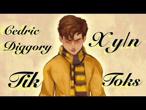 Cedric Diggory x Y/n tiktoks…