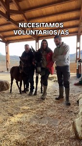 NECESITAMOS VOLUNTARIOS/AS En el vídeo os lo explicamos bien. Si estás interesado o interesada en vivir una experiencia de voluntariado en @fundacionsantuariogaia, escríbenos a voluntariado@santuariogaia.org | Fundación Santuario Gaia