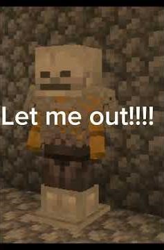 Entity containment 101: (entity)lava Steve