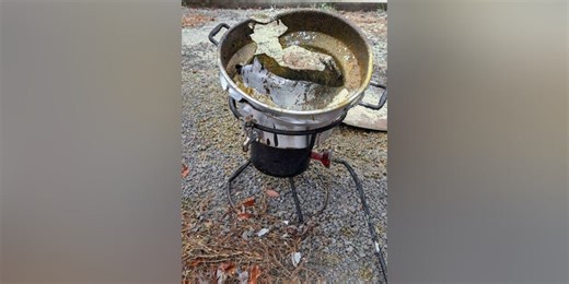 Fried Thanksgiving turkey goes up in flames, sparks garage fire