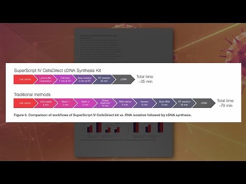SuperScript IV CellsDirect cDNA Synthesis Kit