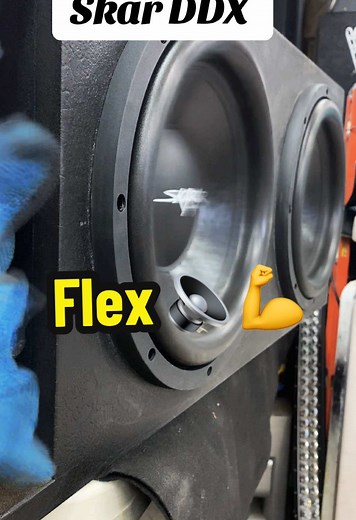 Skar Audio DDX Subwoofers with Custom Ported Box Demo