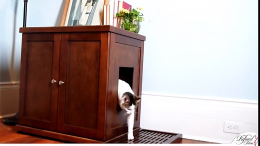 Rheem RTG-95DVLP 9.5 GPM Low NOx Indoor Direct Vent Tankless Propane Water Heater