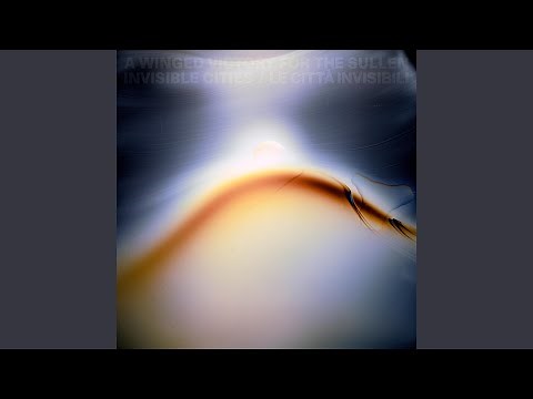 Total Perspective Vortex