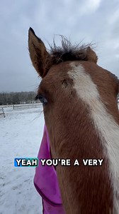 Every time … | Meadow Brook Stables