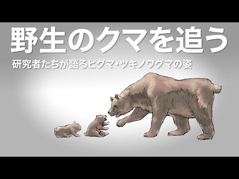 Tracking Wild Bears: Researchers Discuss Brown Bears and Asiatic Black Bears | Science Portal Vid...