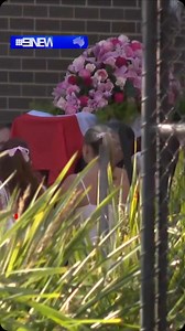 1.4M views · 11K reactions | Hundreds of mourners have gathered to remember Melbourne teenager Holly Morton-Bowles during a funeral service at her old school. #9News | 9 News Melbourne | Facebook