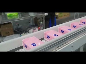 High Speed Facial Tissue Paper Napkins Wrapping Packing Machine