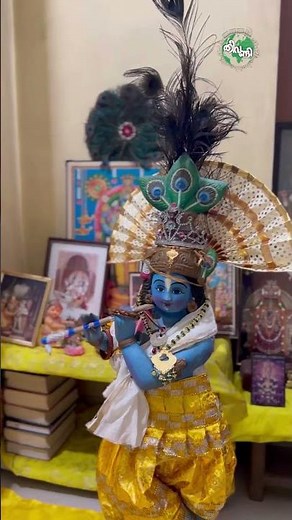 ഒരു വിഷു കണി Reality | Happy Vishu | Team Theevandi Shorts