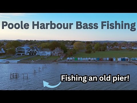 Lure Fishing For Bass - Poole Harbour Dorset