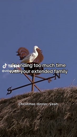 Never related to a duck more | 🎬 Babe (1995) #Babe #Christmas #Duck #UniversalPictures #FilmTok