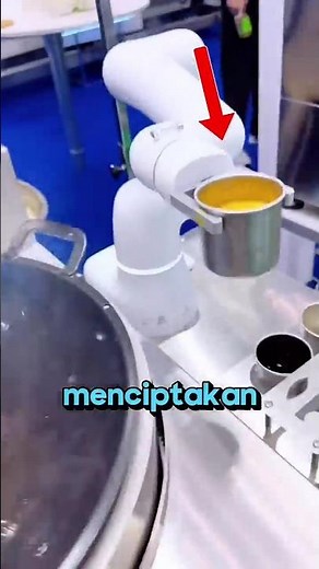 Japan makes a robot that can cook fried rice automatically