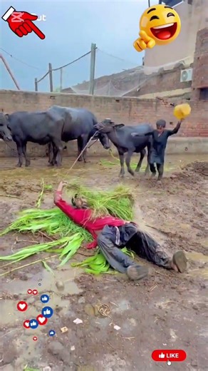 😂Funny videos 😂 #shorts