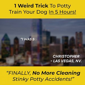 1K views · 155 reactions | 﫢 ퟏ 퐖퐞퐢퐫퐝 퐓퐫퐢퐜퐤 퐓퐨 퐏퐨퐭퐭퐲 퐓퐫퐚퐢퐧 퐀 퐃퐨퐠 퐈퐧 ퟓ...