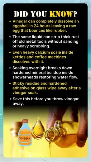 DID YOU KNOW? Vinegar Can Do THIS 😳 (Insane Hacks!)