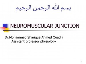 NEUROMUSCULAR JUNCTION - SlideServe
