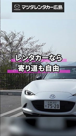 Hiroshima's best cherry blossom viewing drive spots!! Hijiyama Park, a famous cherry blossom view...