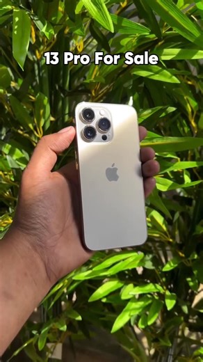 POINT HUB  on Instagram: "IPHONE 13 PRO ₹/.16000💸 256GB STORAGE 90%🔋bh NEAT AND CLEAN back glass changed 36 DAYS CHECKING WARRANT MOREE DETAILS DM/ OR 📞 8555505978 ALL INDIA DELIVERY AVAILABLE 📦🚚 . . .#kerala #india #keralagram #love #instagram"