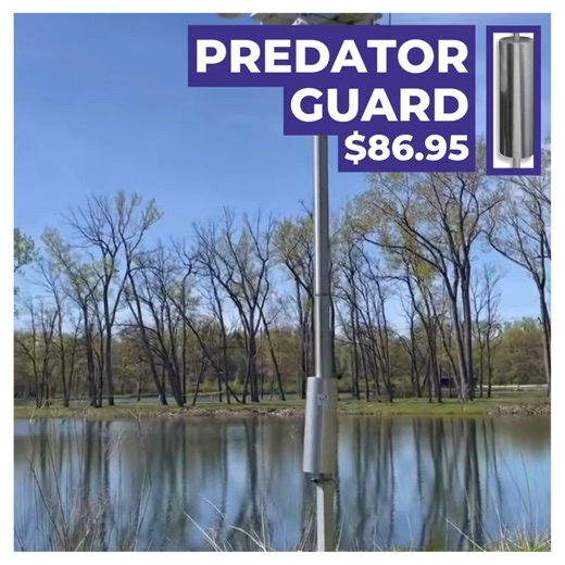 🦝 Protecting your Purple Martin gourds and houses from predators is vital for a successful colony. This quick-release pole guard is an easy way to protect your martins from ground predators such as racoons and snakes. Fall is the perfect time to make changes to your colony—so make 2026 your best season yet! 🛒 Every purchase supports critical conservation work! Shop for this and so much more at our online store. www.purplemartin.org/shop #PurpleMartin #FeaturedProduct #PredatorGuard #Shop #PMCA