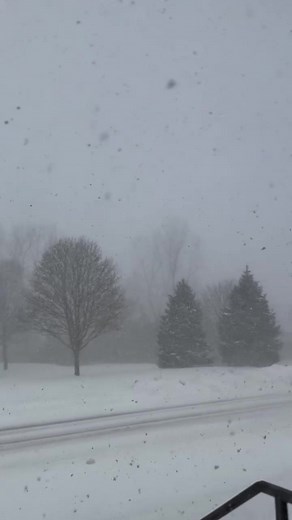 Exploding Trees: Michigan's Winter Storm Phenomenon